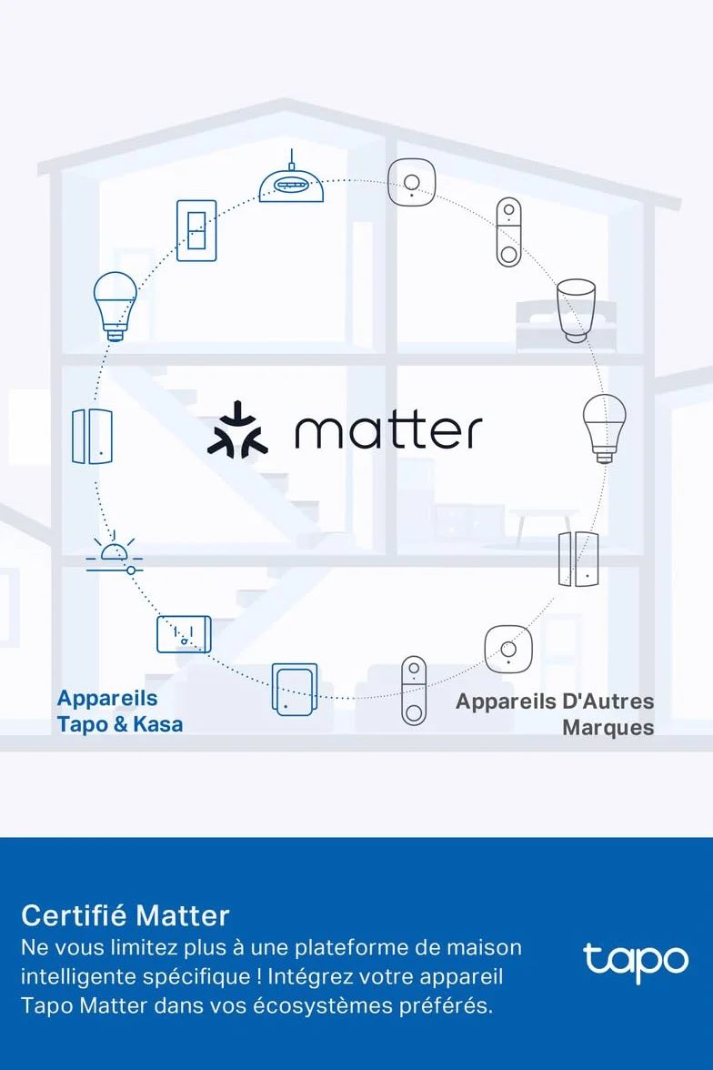 Tapo Prise Connectée WiFi 16A Type E Suivi Consommation Alexa P110MA
